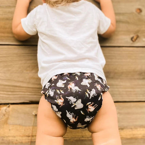 Monarch Store The Classic Nappy 2.0 All in Two | Pocket